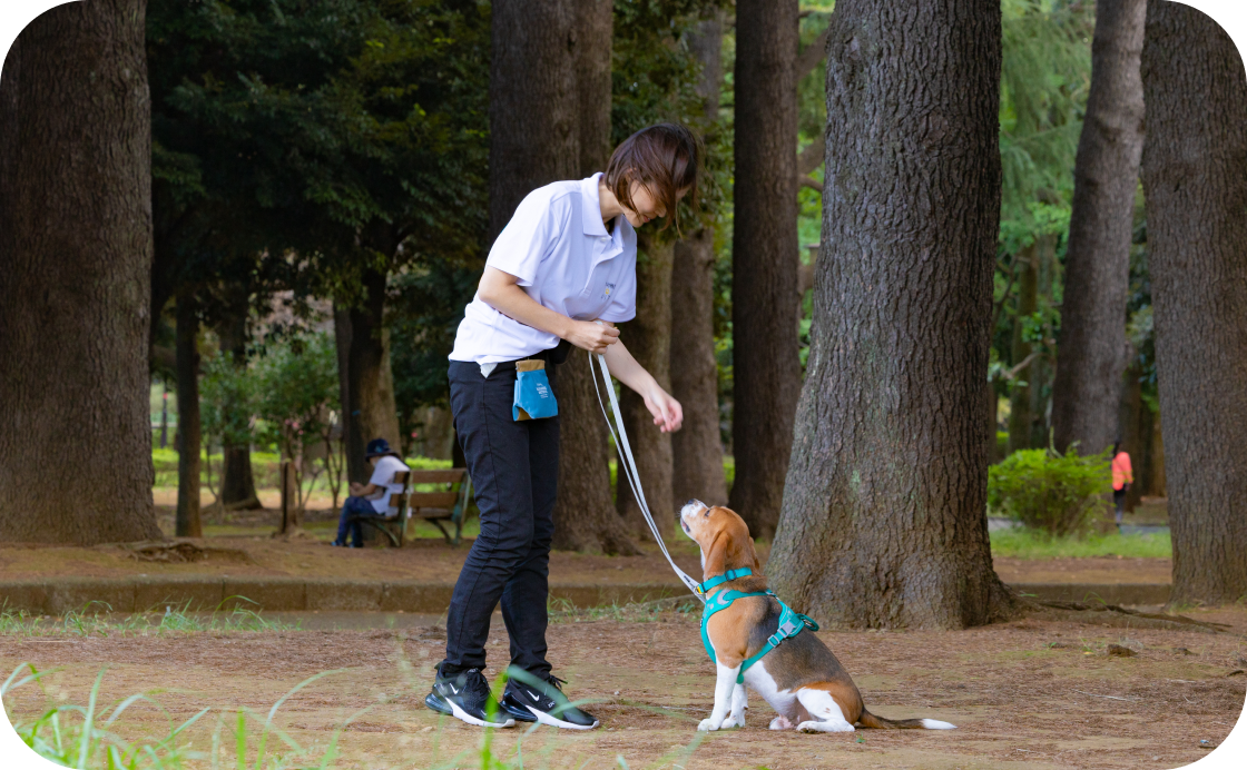 外で過ごす犬